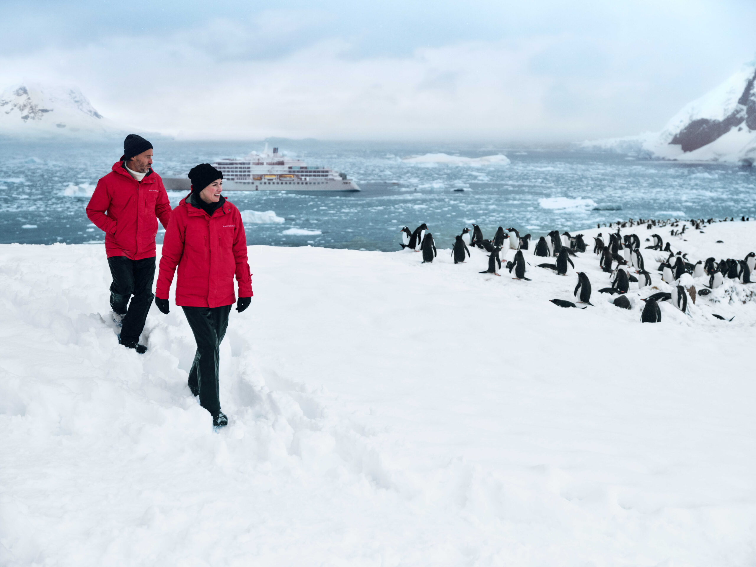 SSC_EV_Antarctica_Neko_Harbour_Hike_1778_compressed